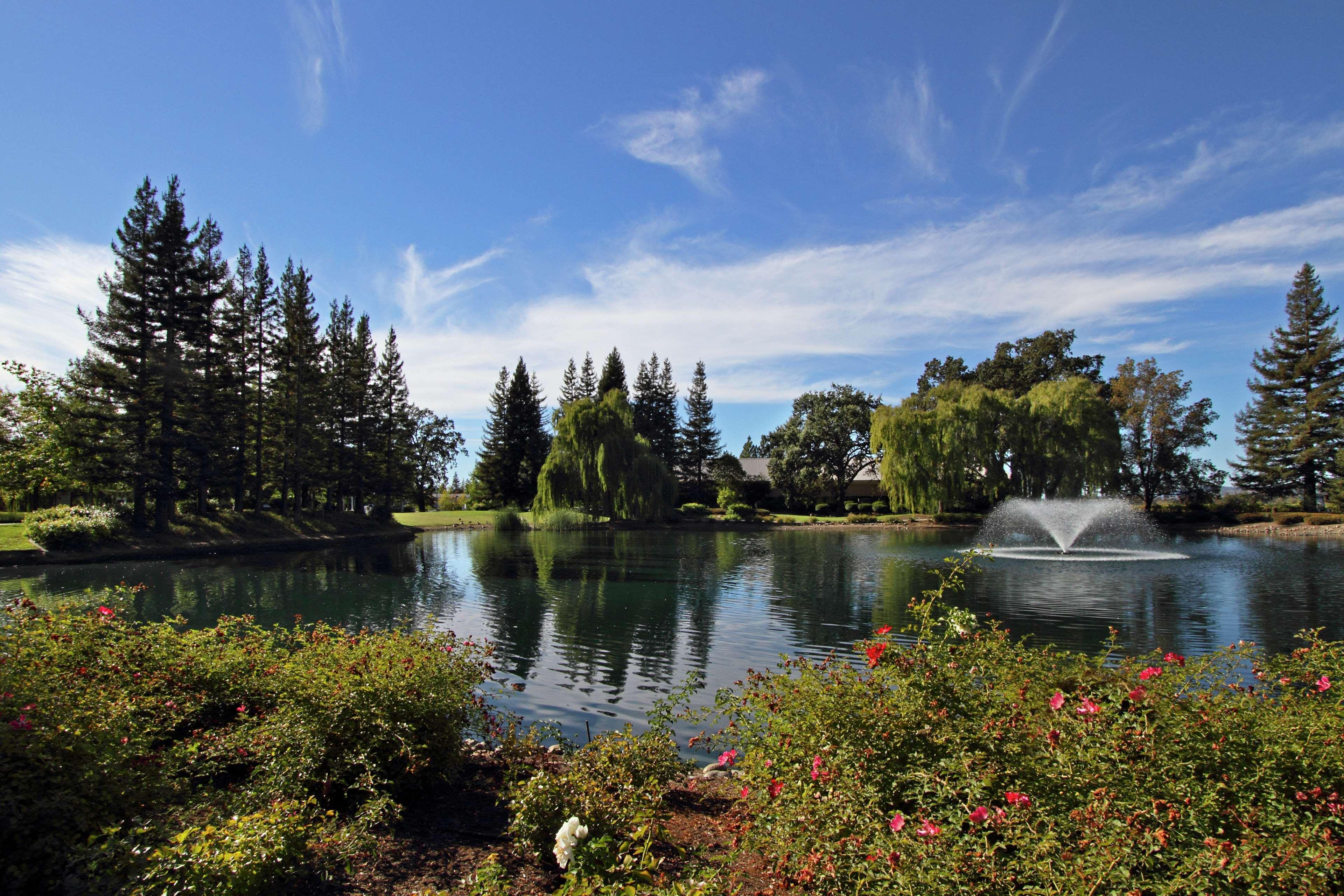 Hilton Garden Inn Sonoma County Airport Santa Rosa Luaran gambar